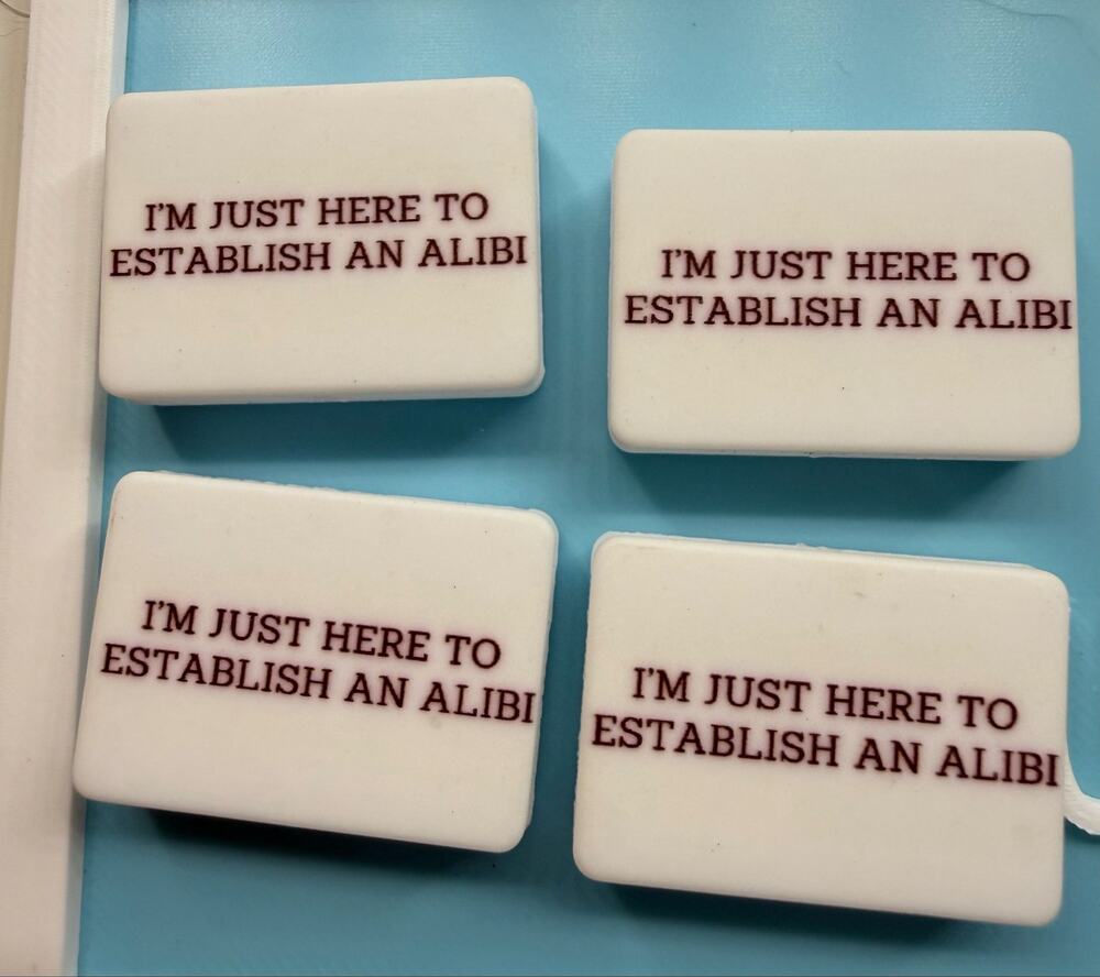 Set of 4 Funny Establish an Alibi Acrylic Focals for Pens Keychains   snarky